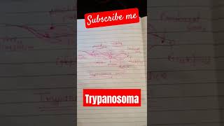 Trypanosoma trypanosomabrucei🫘 ternding videoviralvideo and short📝 नोट by Rajendra Yadav [upl. by Noivaz]