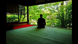 Zazen meditation at home [upl. by Robina943]