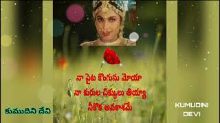 MERISETI PUVVA TELUGU LYRICS  మెరిసేటి పువ్వా తెలుగు లిరిక్స్ [upl. by Dloreg]