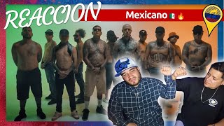 COLOMBIANOS REACCIONAN  Mexicano 🇲🇽🔥  Lefty SM x Dharius  VIDEO REACCION AL RAP MEXA [upl. by Busiek]