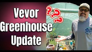 VEVOR Greenhouse review [upl. by Turrell]