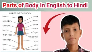 50 Body Parts Name In Hindi and English  Human body parts name  शरीर के अंगों के नाम [upl. by Siocnarf]