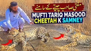 Mufti Tariq Masood Cheetah K Itney Kareeb  Africa jungle Vlog  Mufti Tariq Masood Speeches 🕋 [upl. by Pleione268]