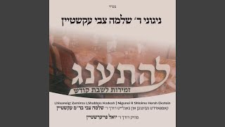 Meyein Olam Haba feat Shloime Hersh Ekstein [upl. by Nodnart]