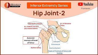 Understanding the Hip Joint 2 Relations Movements and Applied Anatomy with Dr VB [upl. by Christiane538]