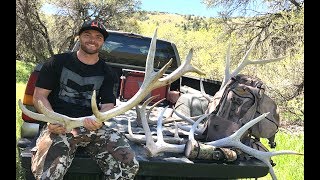 SHED ANTLER HUNTING LATE SPRING AND GLASSING THEM UP [upl. by Let]