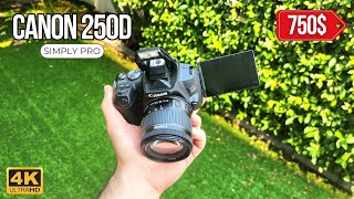 Amateur Price For A Pro DSLR  Canon 250D Review [upl. by Nylarej]