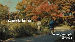 VLOG A 900yearold Japanese garden I went to see the garden at Joruriji Temple [upl. by Waugh]