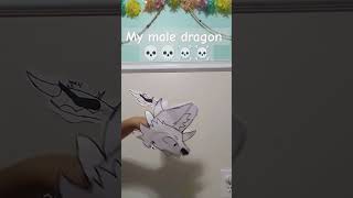 My female dragons vs my male dragons [upl. by Aliza]