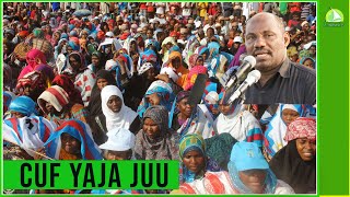 LIVECUF YAJA JUU [upl. by Ahterod]