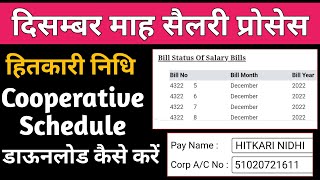 पेमेनेजर पर Hitkari Nidhi Cooperative Schedule Download कैसे करें Dec Month Salary Proces [upl. by Eelrebmyk]