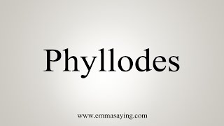 How To Say Phyllodes [upl. by Iruahs640]