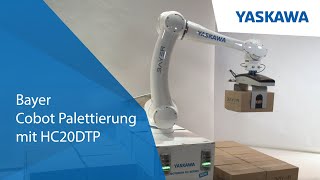 Yaskawa Cobot Palettierung mit Bayer [upl. by Tish]