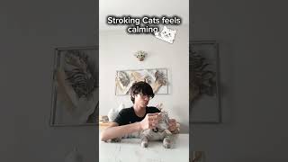 Stroking CatAshmhstayyabcatAsh [upl. by Ydnyc]