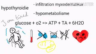 hypothyroidie [upl. by Aicsila841]