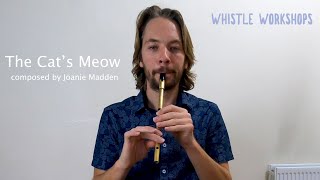 The Cats Meow  Tin Whistle [upl. by Downes582]