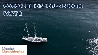 Bloom of Coccolithophores  Part 2  Mission Microbiomes [upl. by Leoine]