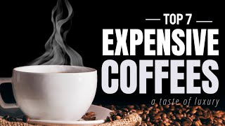 Most Expensive Coffees In the World [upl. by Rodolphe104]