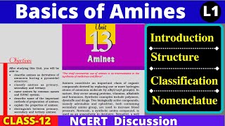 L1 Amines NCERT Class 12  Structure Classification amp Nomenclature of Amines 12th Organic Chemistry [upl. by Orva]