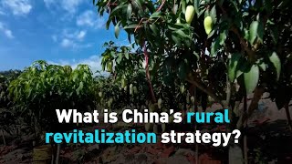 What is China’s rural revitalization strategy [upl. by Ynafets]