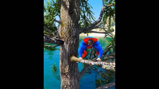 CROCODILE Overturned The Boat And Ate Spiderman in GTA 5 😱 shorts [upl. by Enomrej]