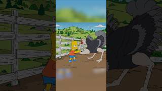 Bart fighting an ostrich simpson shorts [upl. by Llenna]