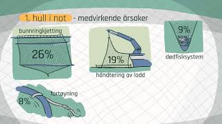 Årsaker til rømming av fisk [upl. by Coyle]