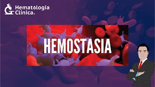 HEMOSTASIA [upl. by Caspar127]