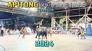 Apitong vs Pinetree Junior Poblacion Summer League 2024 [upl. by Foy]