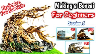 Step By Step Making A Aquascape Bonsai For Beginners [upl. by Lamahj]