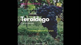 Teroldego [upl. by Ydennek]