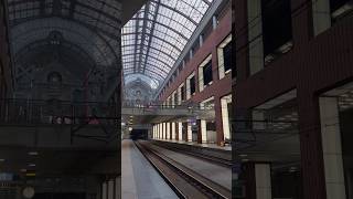 Beautiful Antwerp Central Railway Station 🇧🇪 [upl. by Reinert687]