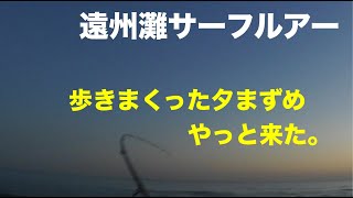 遠州灘サーフルアー。やっと釣れたのはランガン３時間 [upl. by Riella225]