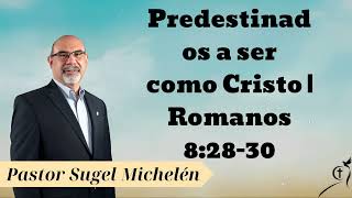 Predestinados a ser como Cristo  Romanos 82830  Pastor Sugel Michelén [upl. by Antoinetta]