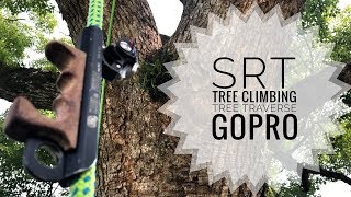 SRT  Tree Climbing  TreeTraverse  Limb walk  Gopro [upl. by Hamfurd]