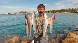 PASTURA E MONTATURA PER PESCARE I GRANDI CEFALI DI MARE [upl. by Ellenwahs792]