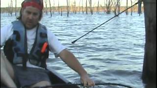 Topwater Catfishing with the TOPCAT ROD [upl. by Guibert]