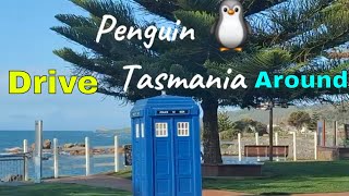 Lets Drive Penguin to Burnie Tasmania [upl. by Airuam]