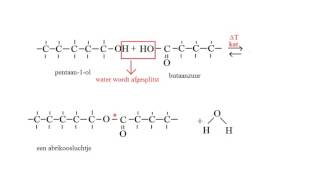 Biochemie 3 De vorming en hydrolyse van vetten De rol van glycerol en vetzuren [upl. by Siana478]