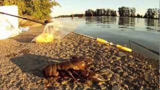 Fraser River Cray Fish Wormmp4 [upl. by Filippa901]