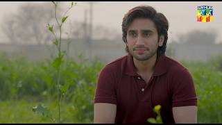 Zard Patton Ka Bunn  Ep 15 Promo  Sunday At 08 Pm Only On HUM TV  Sajal Ali amp Hamza Sohail [upl. by Einnok]