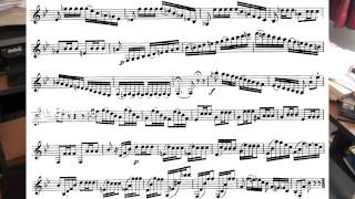 Rose Etudes Mini Masterclass Etude 23 of 40 Etudes [upl. by Eve]