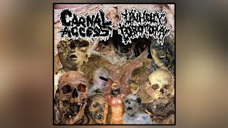 Carnal Access Unholy Lobotomy split Goregrind [upl. by Ramaj243]