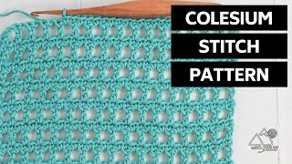 Easy Crochet Mesh Stitch Beginner Crochet Stitch Combination Tutorial Colosseum Stitch [upl. by O'Mahony344]