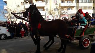 Boboteaza 2018 Fetești [upl. by Nagorb]