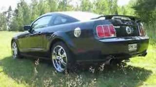 Ford Mustang GT 2005 with Borla [upl. by Zelikow]