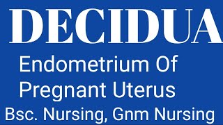 DECIDUA  Decidual Reactions layer Of Developed Decidua  Function Of Decidua [upl. by Monk]