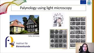 A comparison between palynological and DNA metabarcoding methods on pollen [upl. by Bunder]