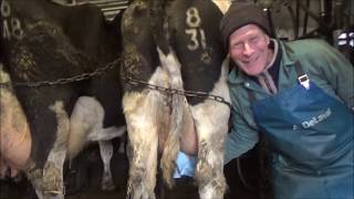 Making cheese from our cows milk Part 1 [upl. by Yenial]