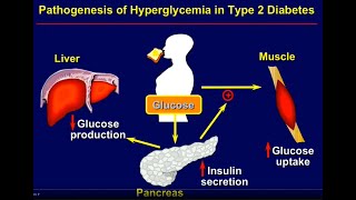 Great diabetes lecture by Dr Shulman Banting award 2018 [upl. by Sille]